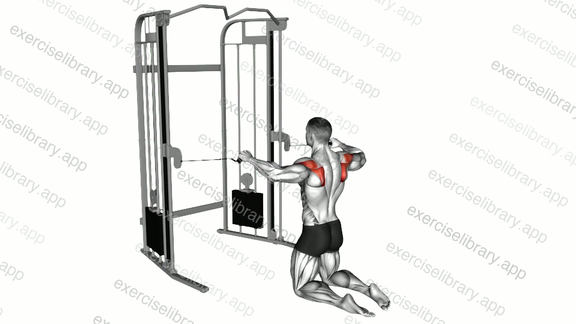 Cable Kneeling Shoulder External Rotation demonstration