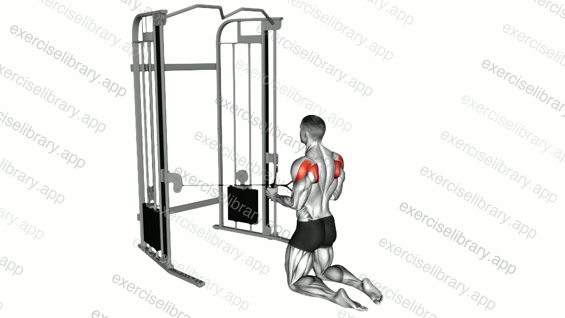 Cable Kneeling Shoulder External Rotation demonstration