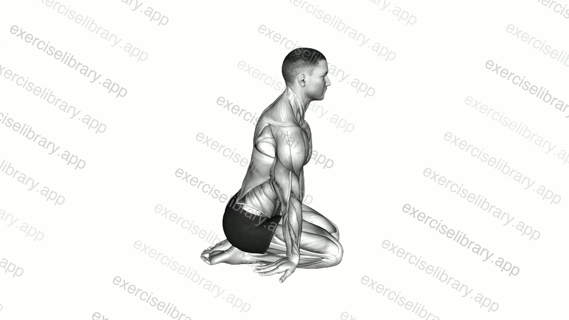 Seated Forearms Stretch demonstration
