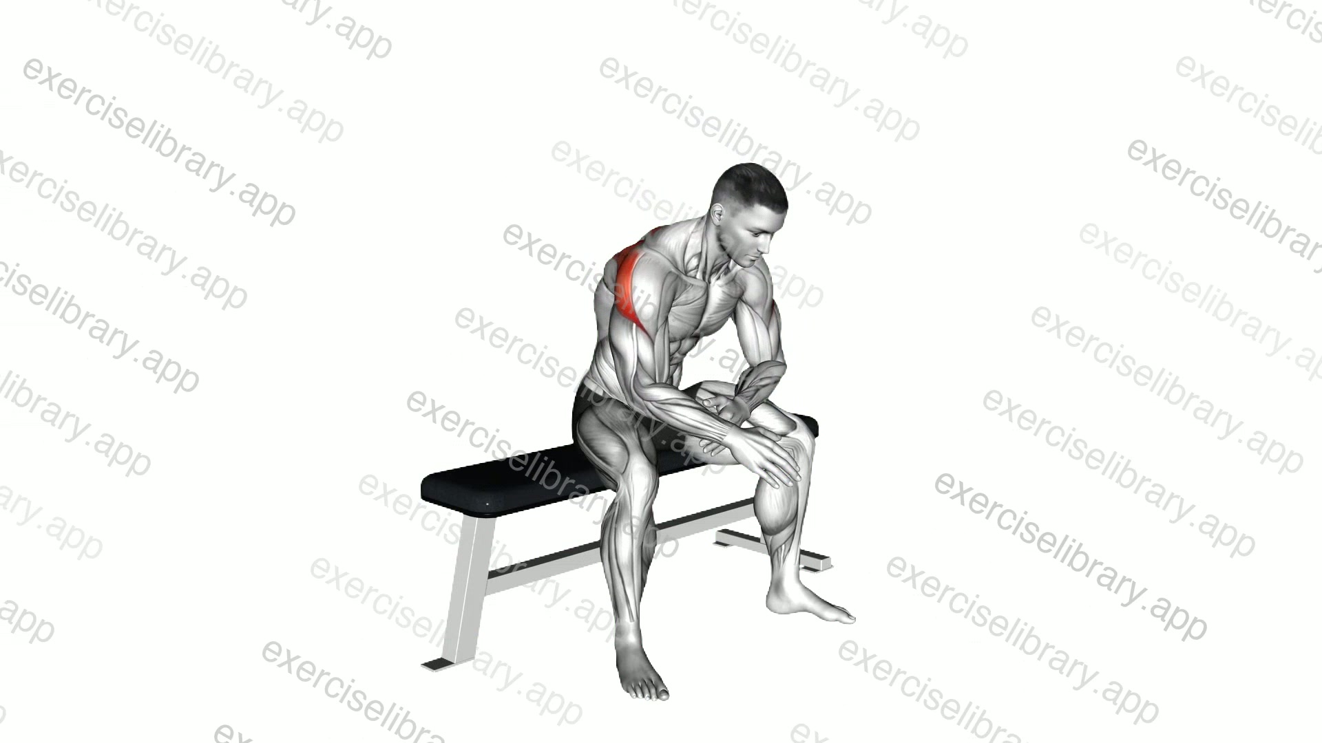Seated Rhomboid Stretch demonstration
