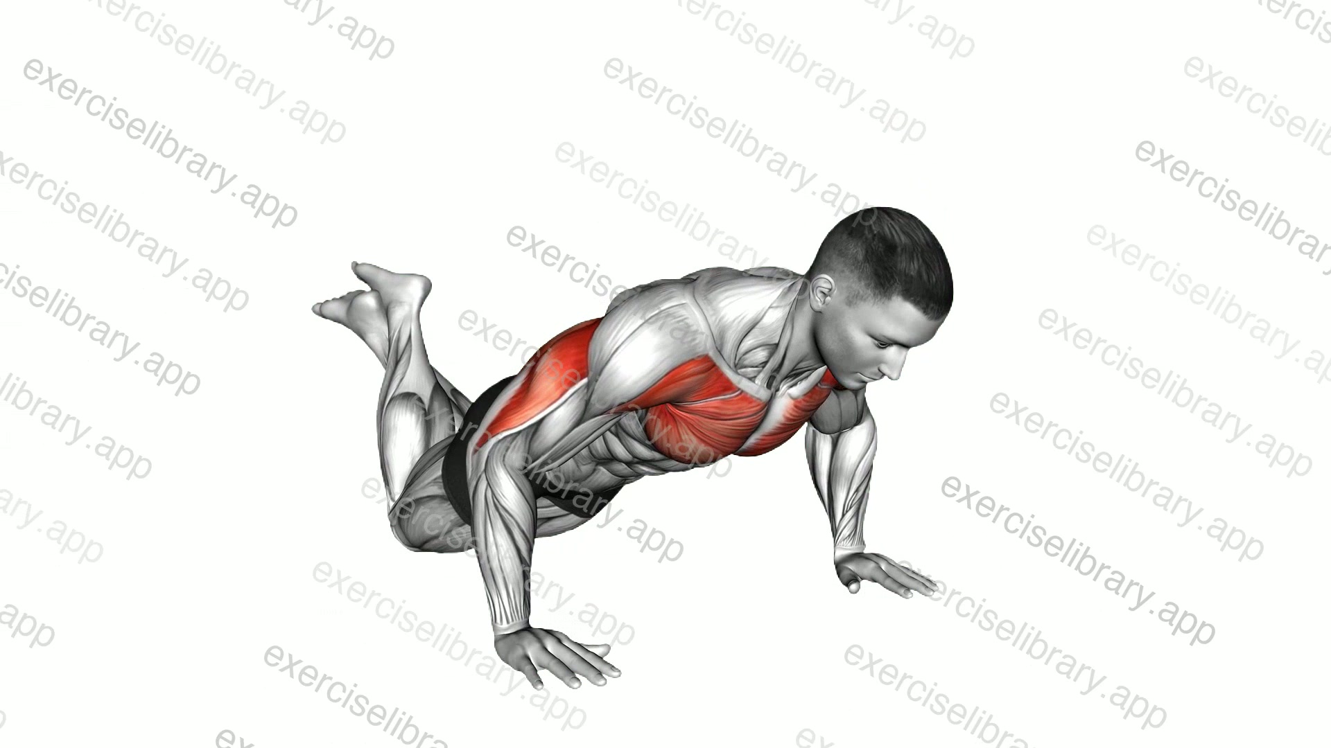 Explosive Kneeling Push-Up demonstration