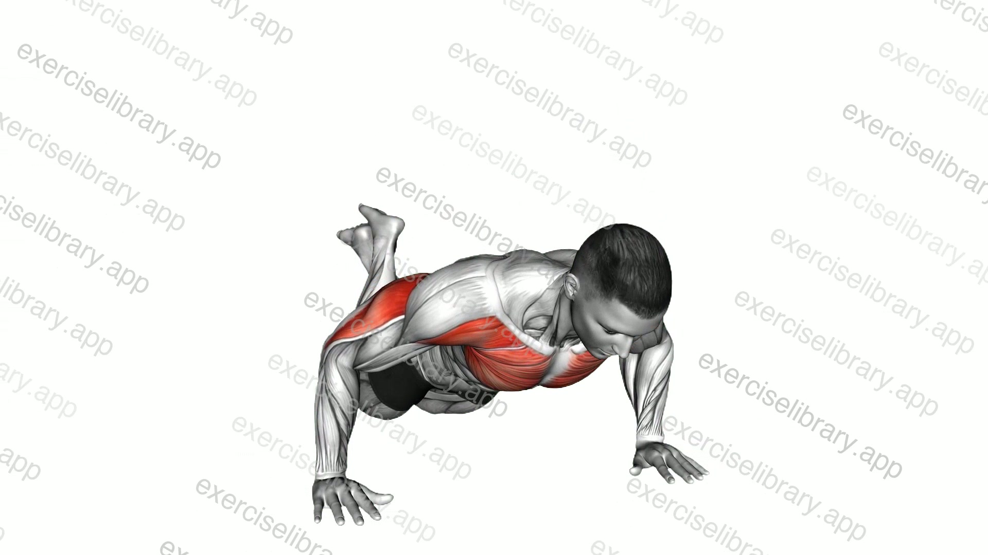 Side Kneeling Push-up demonstration