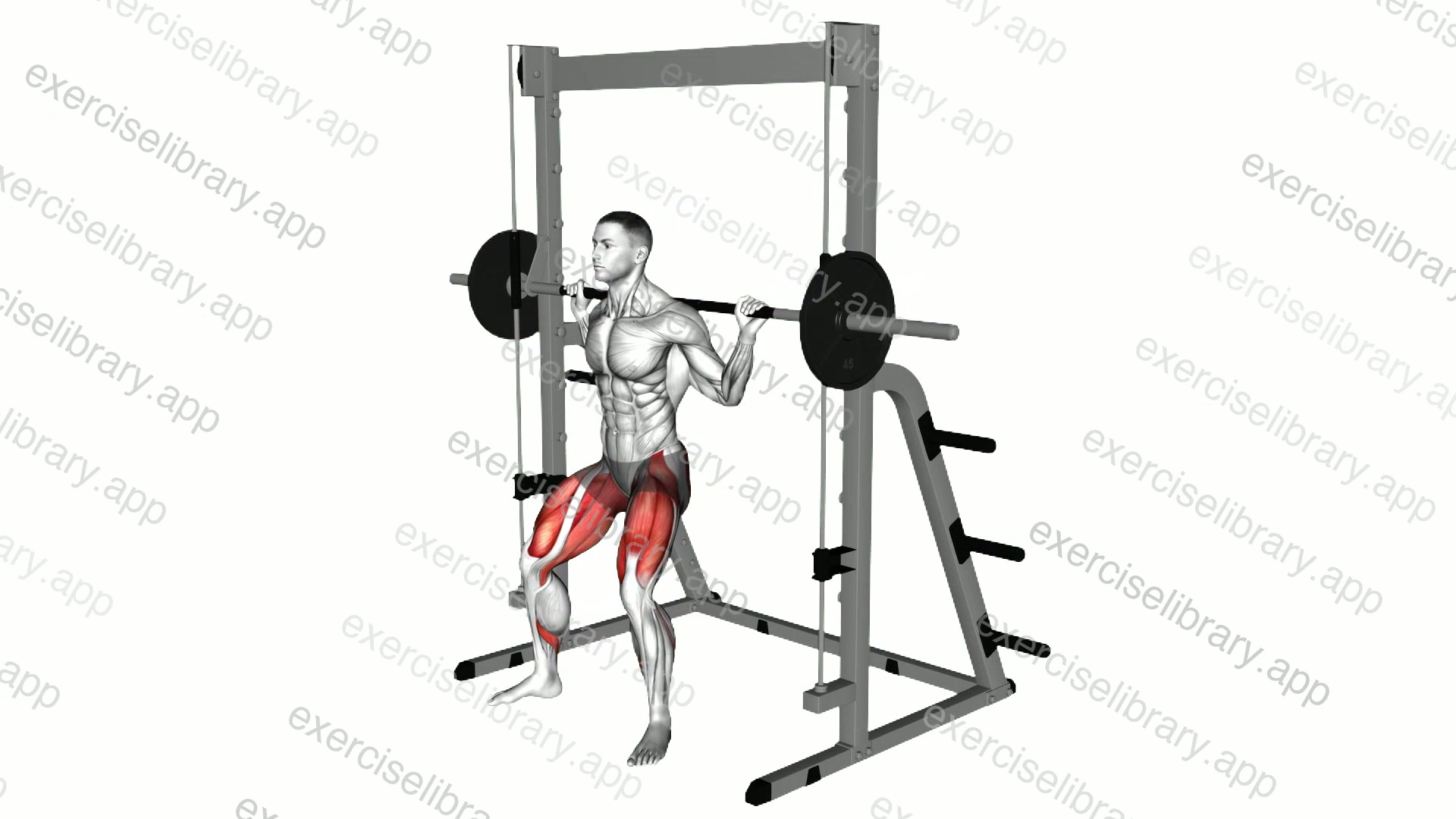 Smith Sumo Chair Squat demonstration