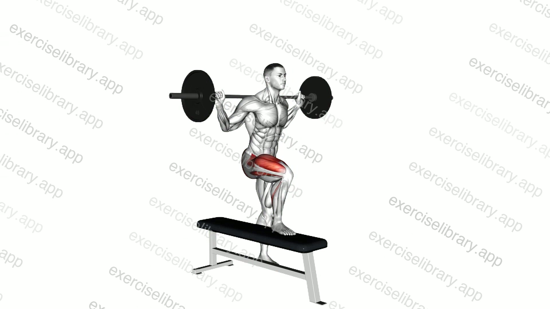 Barbell Bench Lateral Step-up demonstration