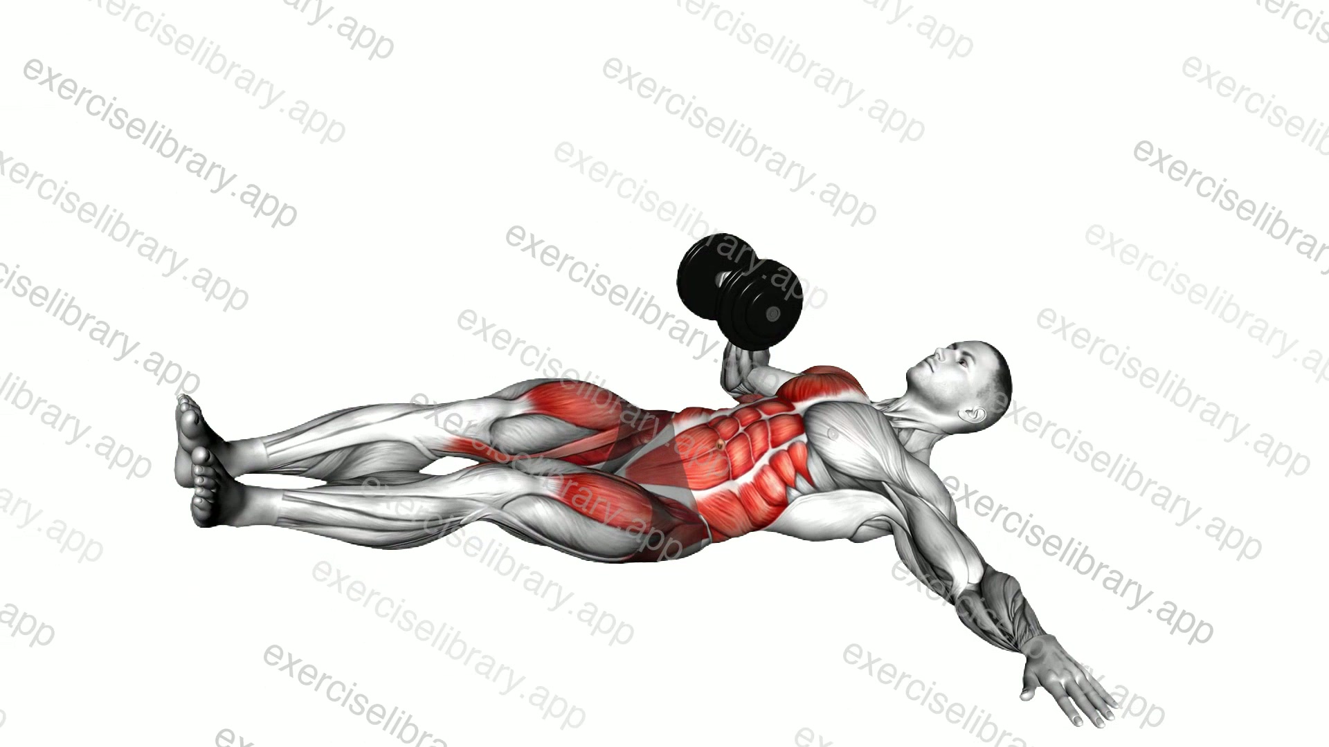 Dumbbell Lying Oblique V-up demonstration