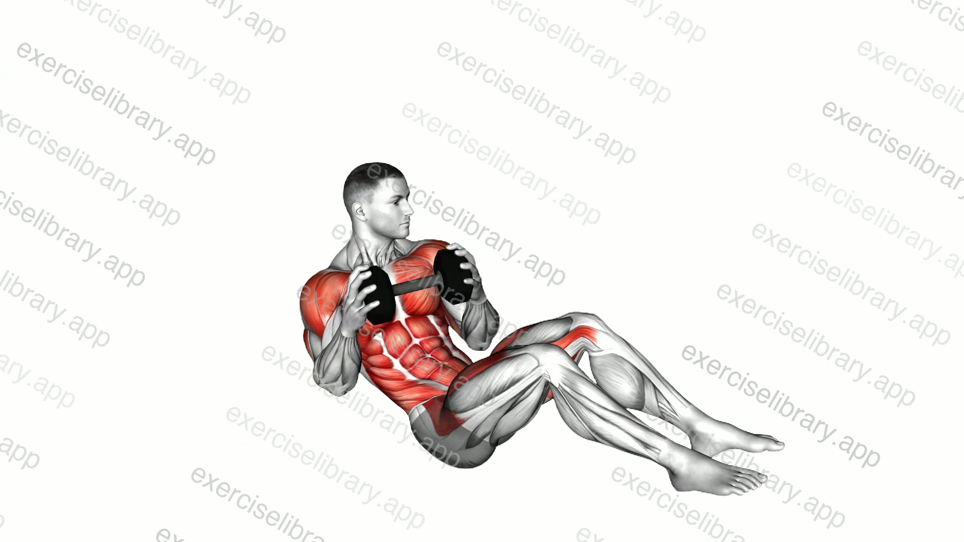 Dumbbell Military Press Russian Twist with Legs Floor Off demonstration