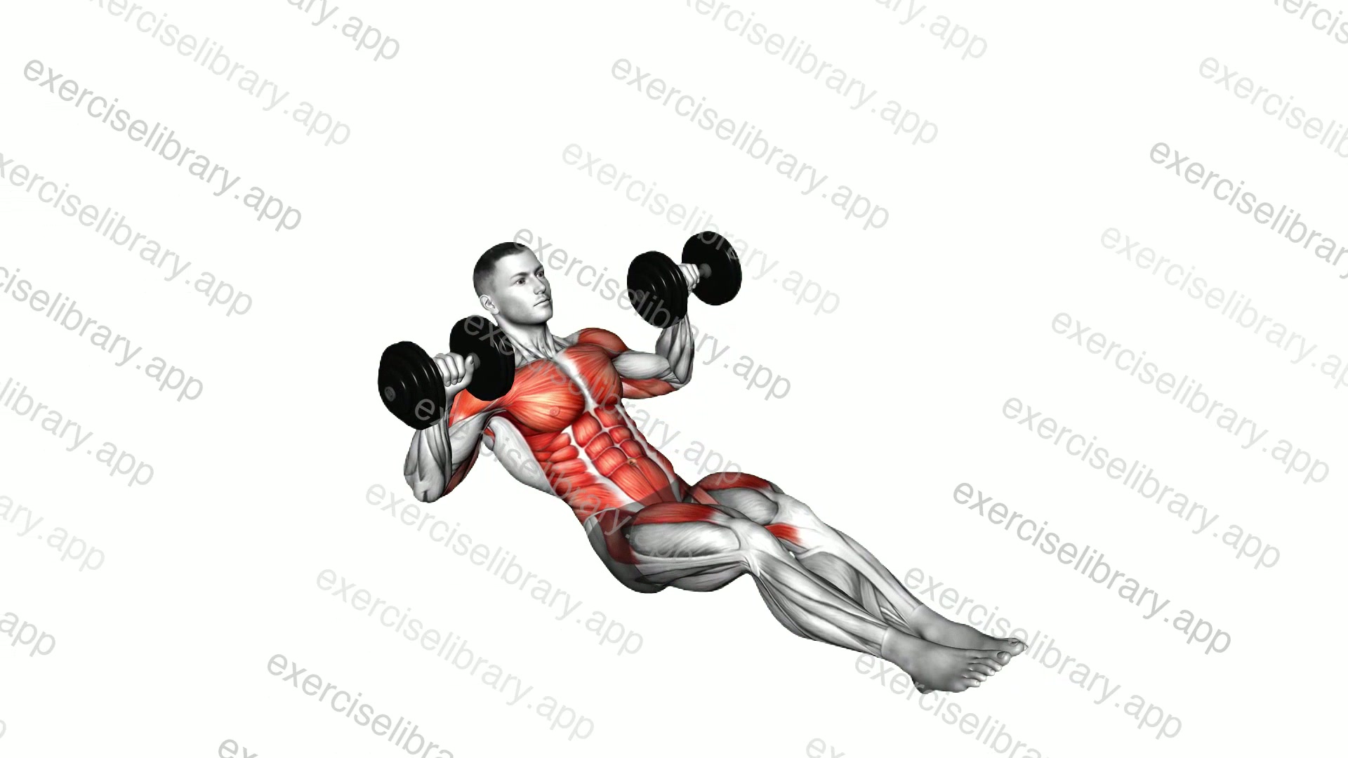 Dumbbell Seated Military Press In Out Leg Raise on Floor demonstration