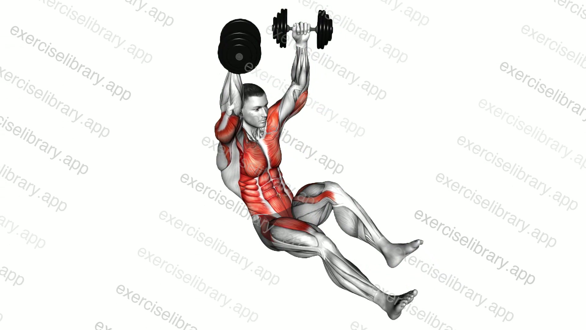 Dumbbell Seated Military Hold Alternate Leg Raise on Floor demonstration