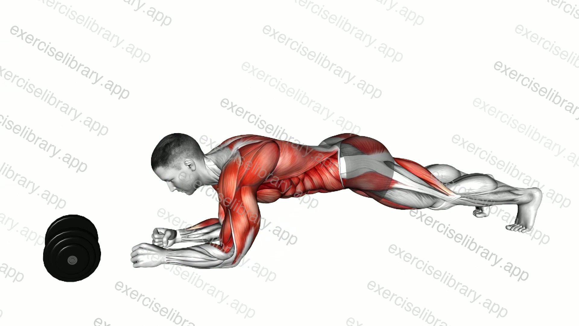 Plank Alternate Anti Gravity Pull-up demonstration