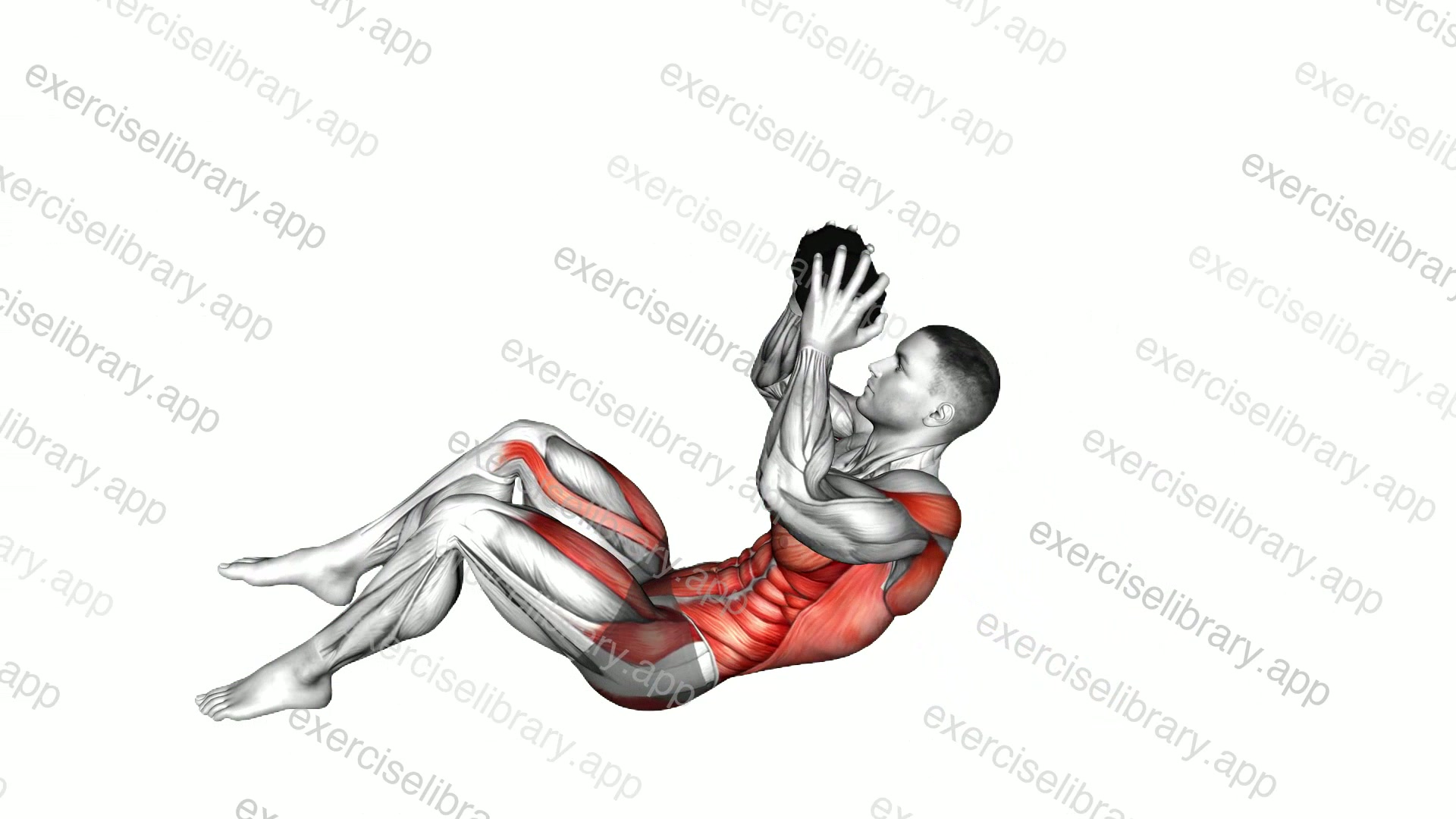 Dumbbell Alternate V up demonstration