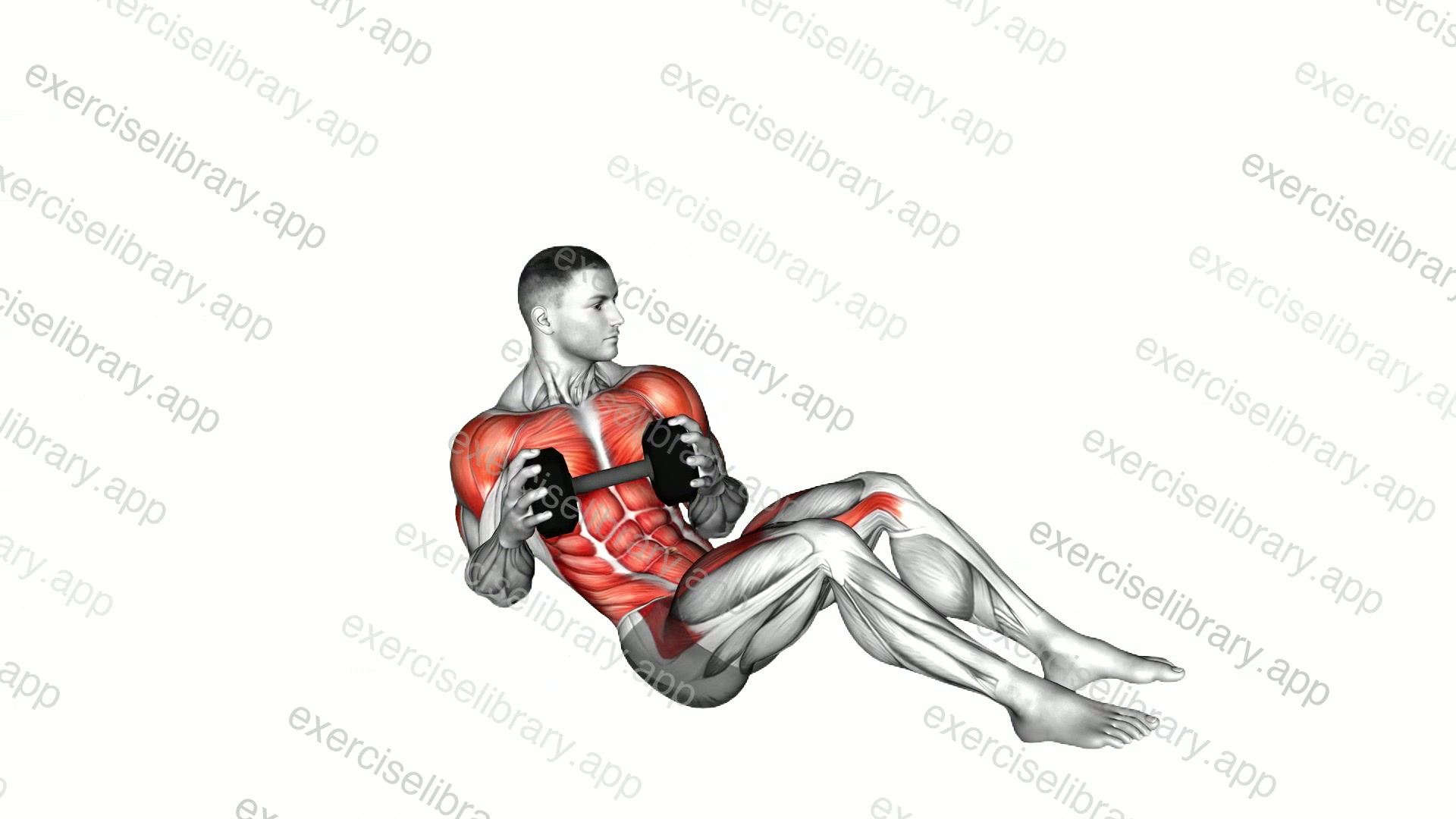 Dumbbell Military Press Russian Twist with Legs Floor Off demonstration