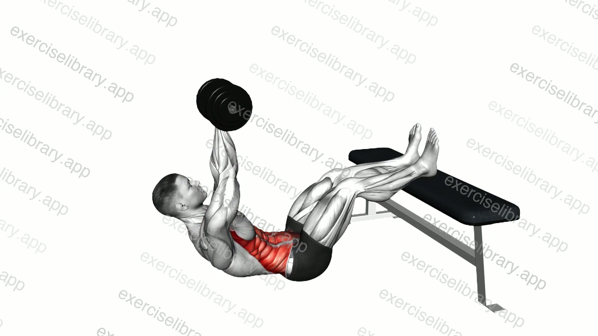 Dumbbell Overhead Sit-up with Legs on Bench demonstration
