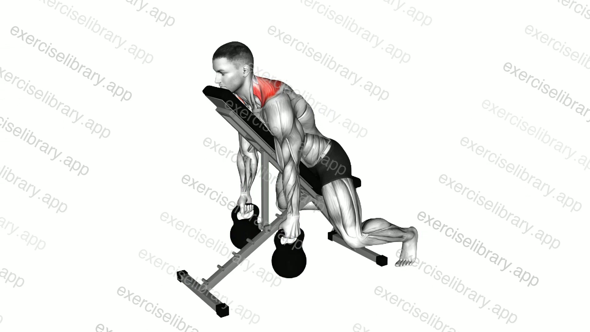 Kettlebell Decline Shrug demonstration