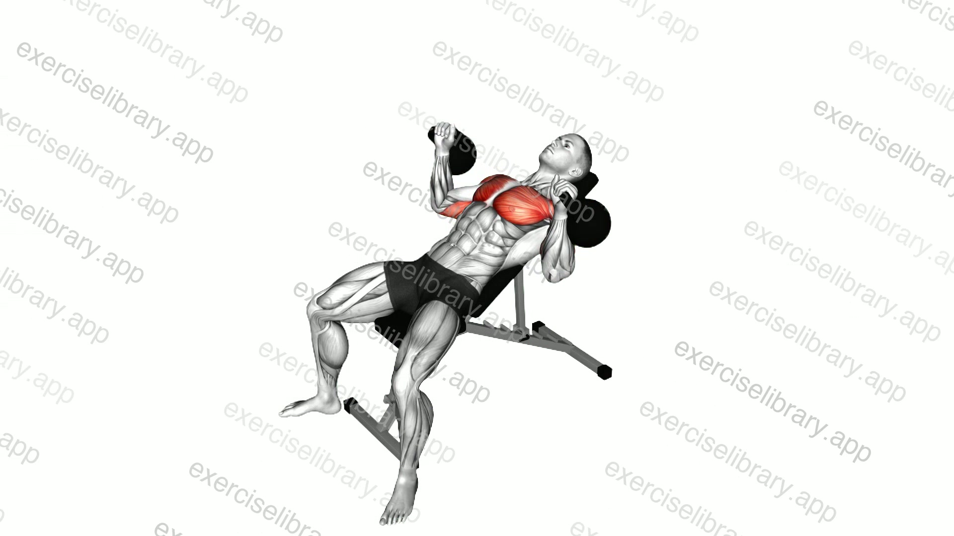 Kettlebell Incline Bench Press demonstration