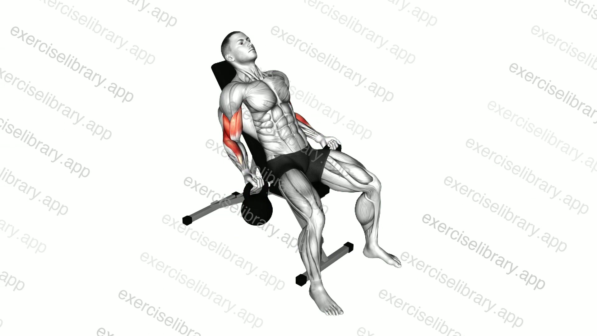 Kettlebell Incline Biceps Curl demonstration