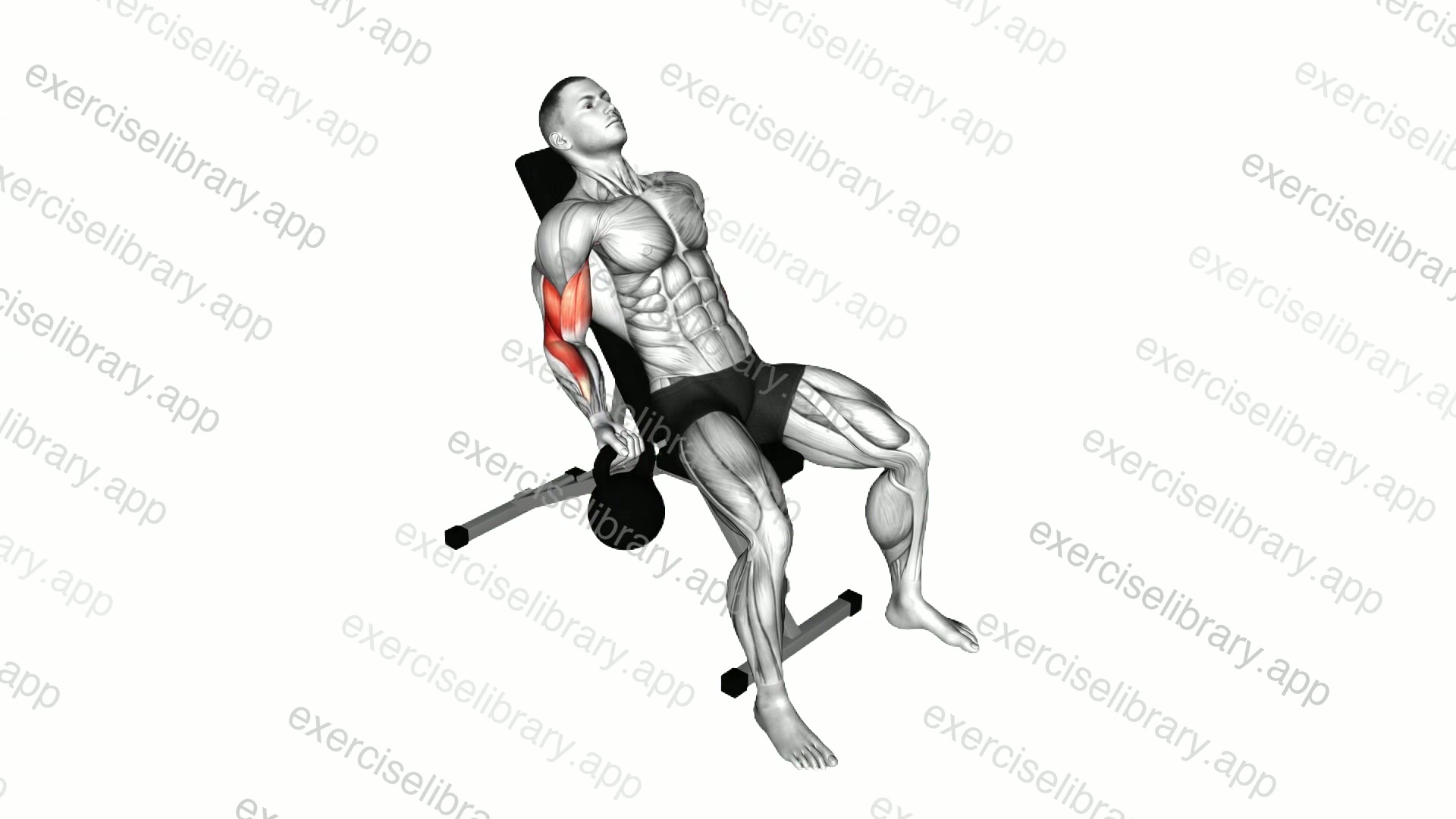 Kettlebell Incline Alternate Curl demonstration