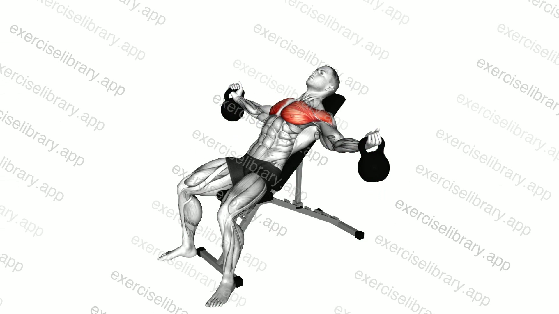 Kettlebell Incline Fly demonstration
