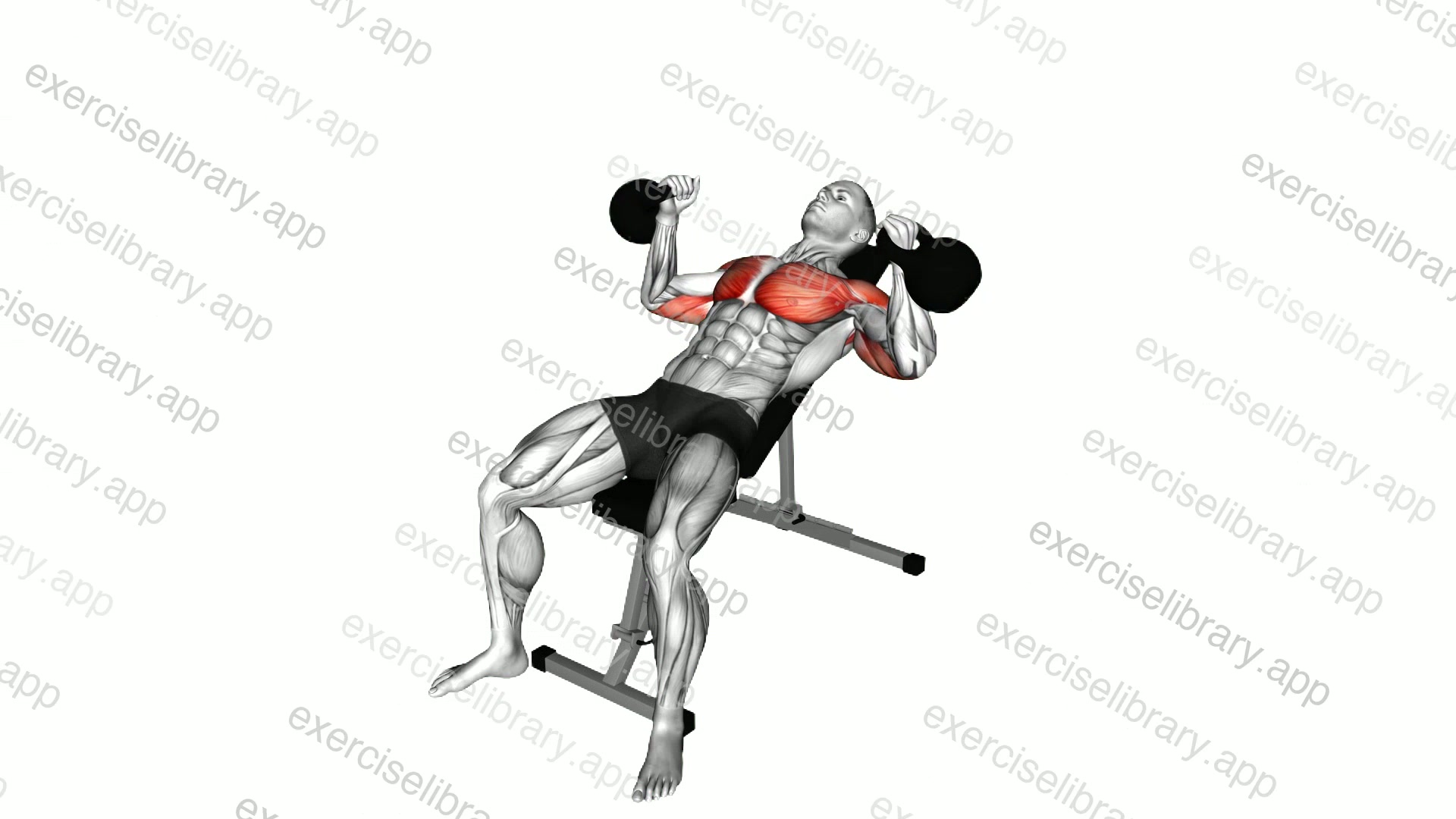 Kettlebell Incline Hammer Press demonstration