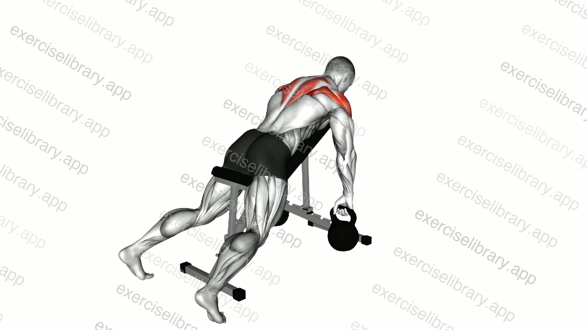 Kettlebell Incline Row demonstration