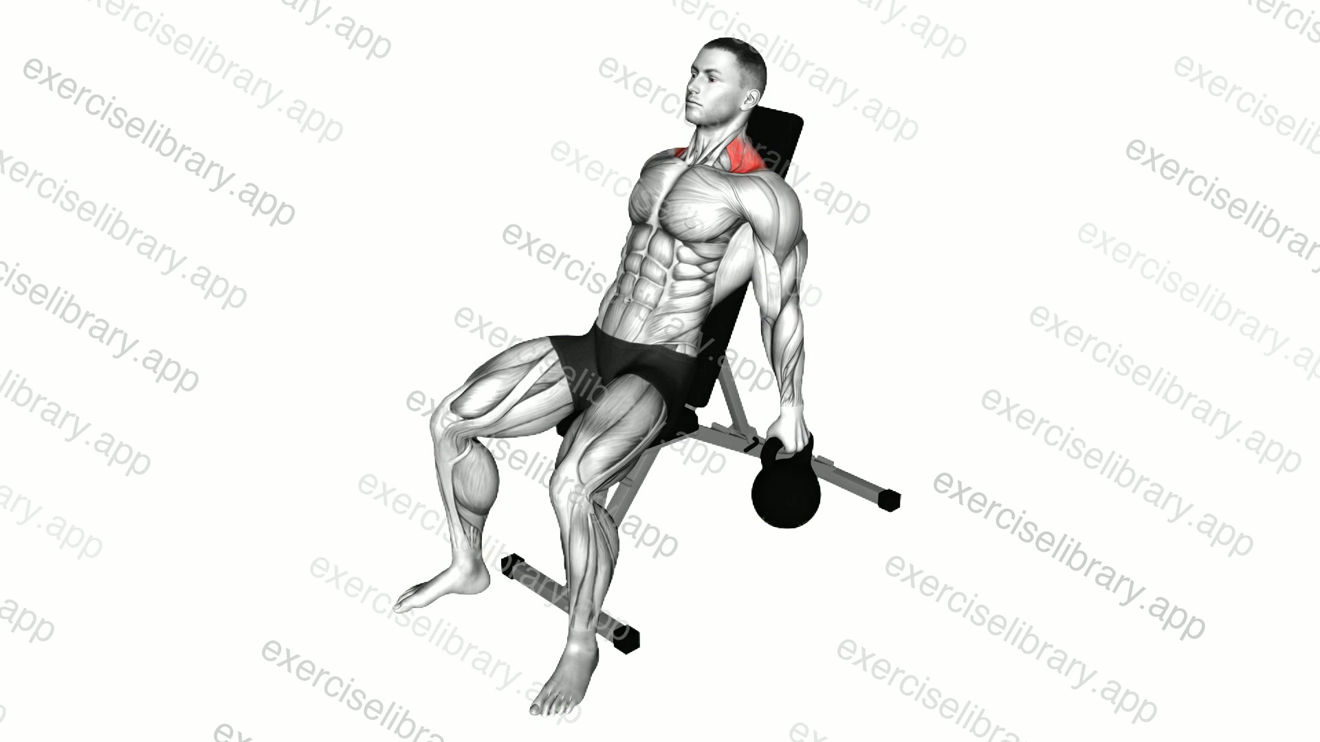 Kettlebell Incline Shrug demonstration