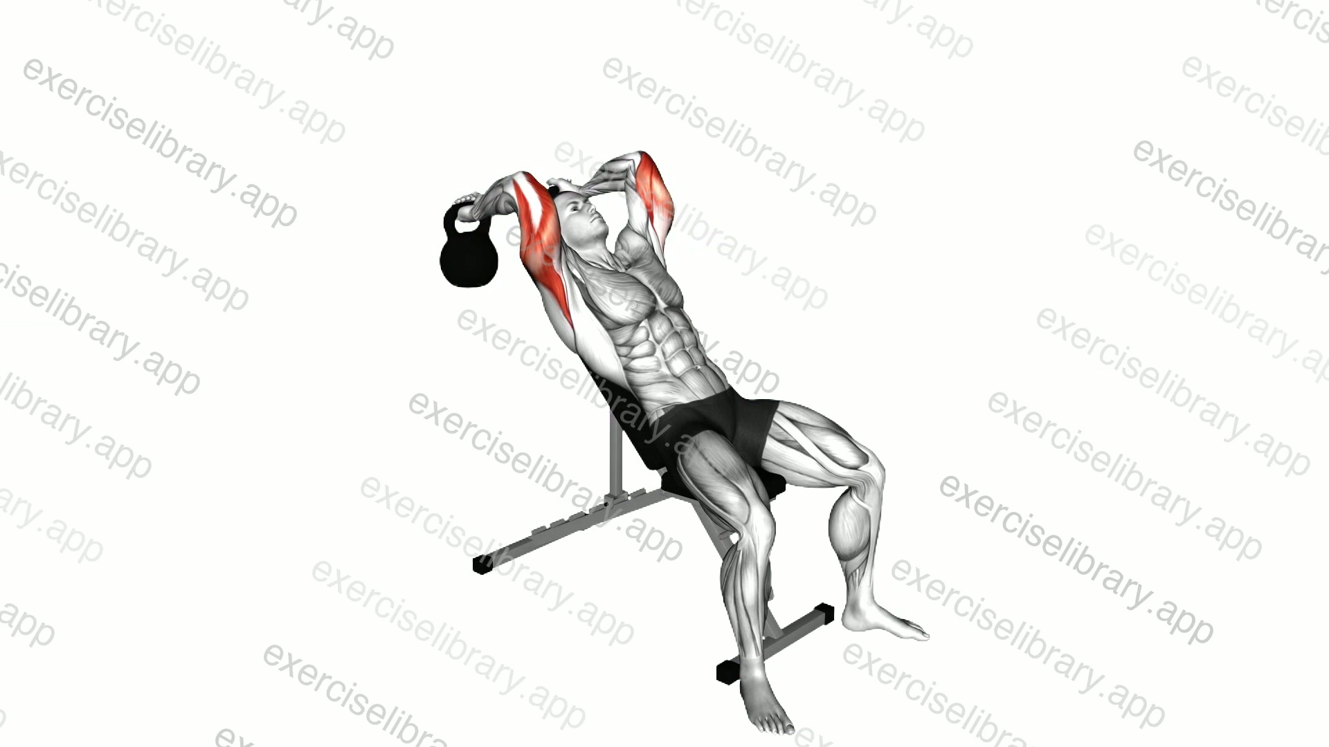 Kettlebell Incline Triceps Extension demonstration