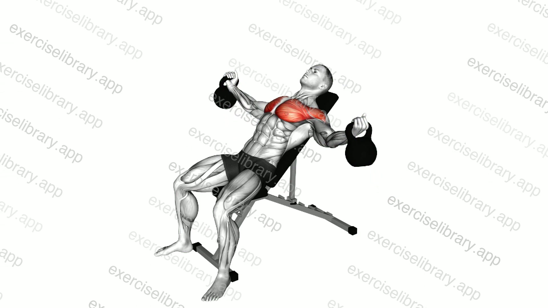Kettlebell Incline Twisted Fly demonstration
