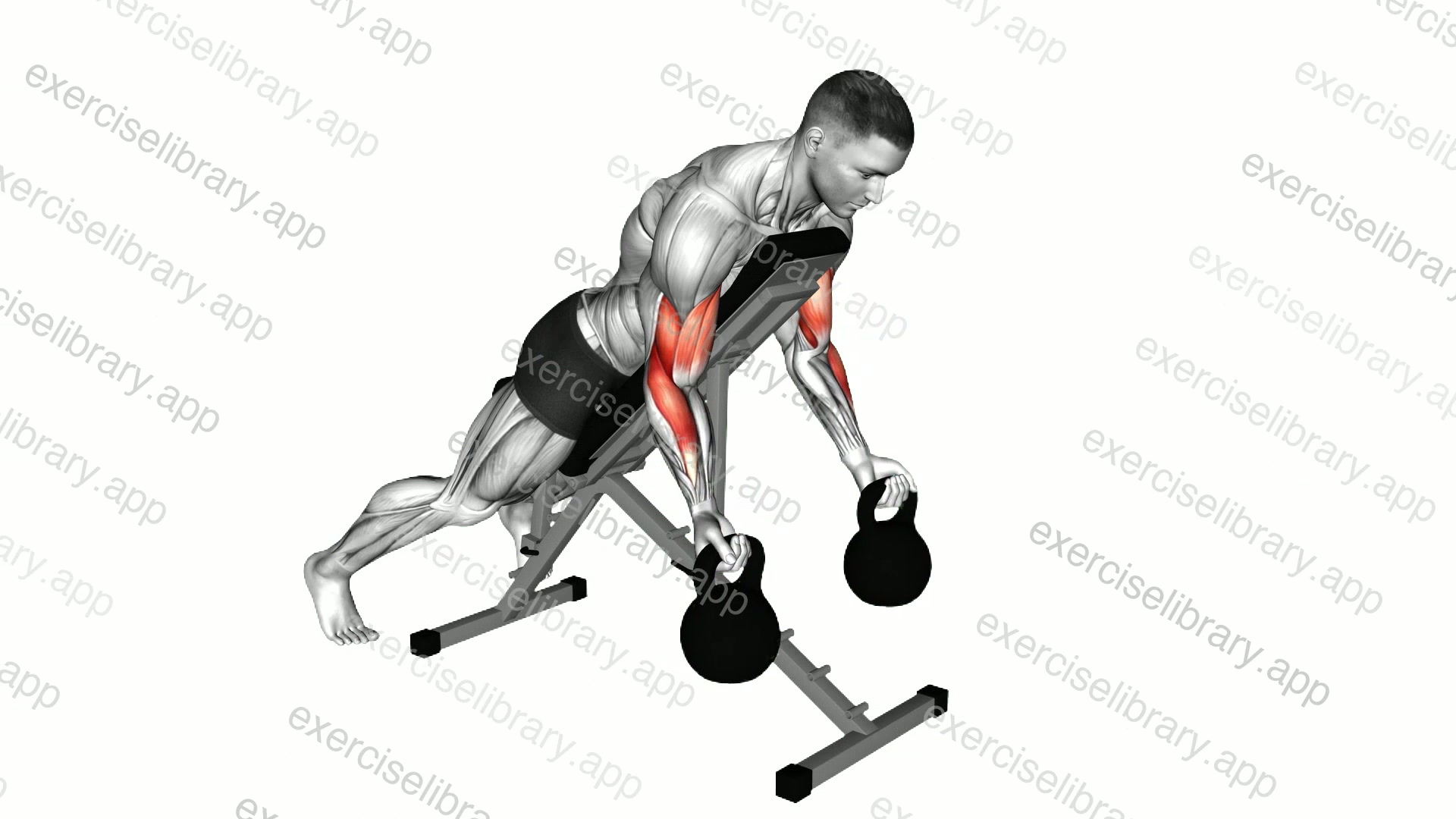 Kettlebell Prone Incline Curl demonstration