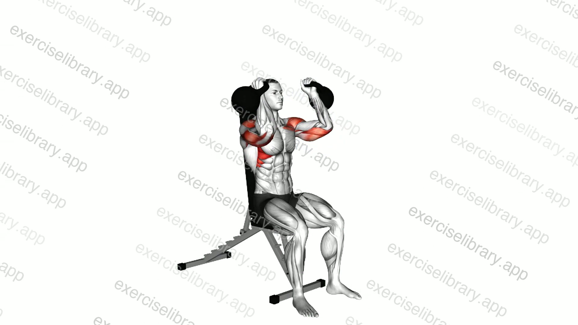 Kettlebell Seated Neutral Grip Shoulders Press demonstration