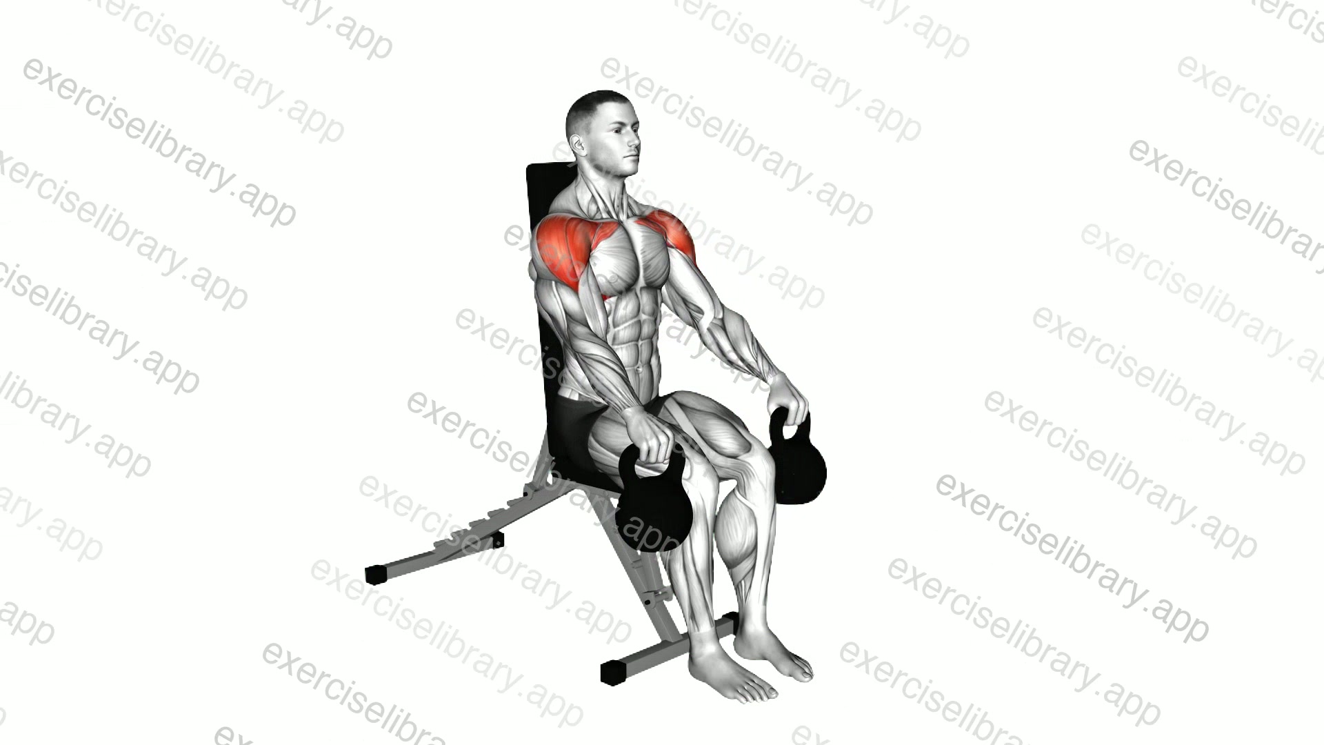 Kettlebell Seated Front Raise demonstration