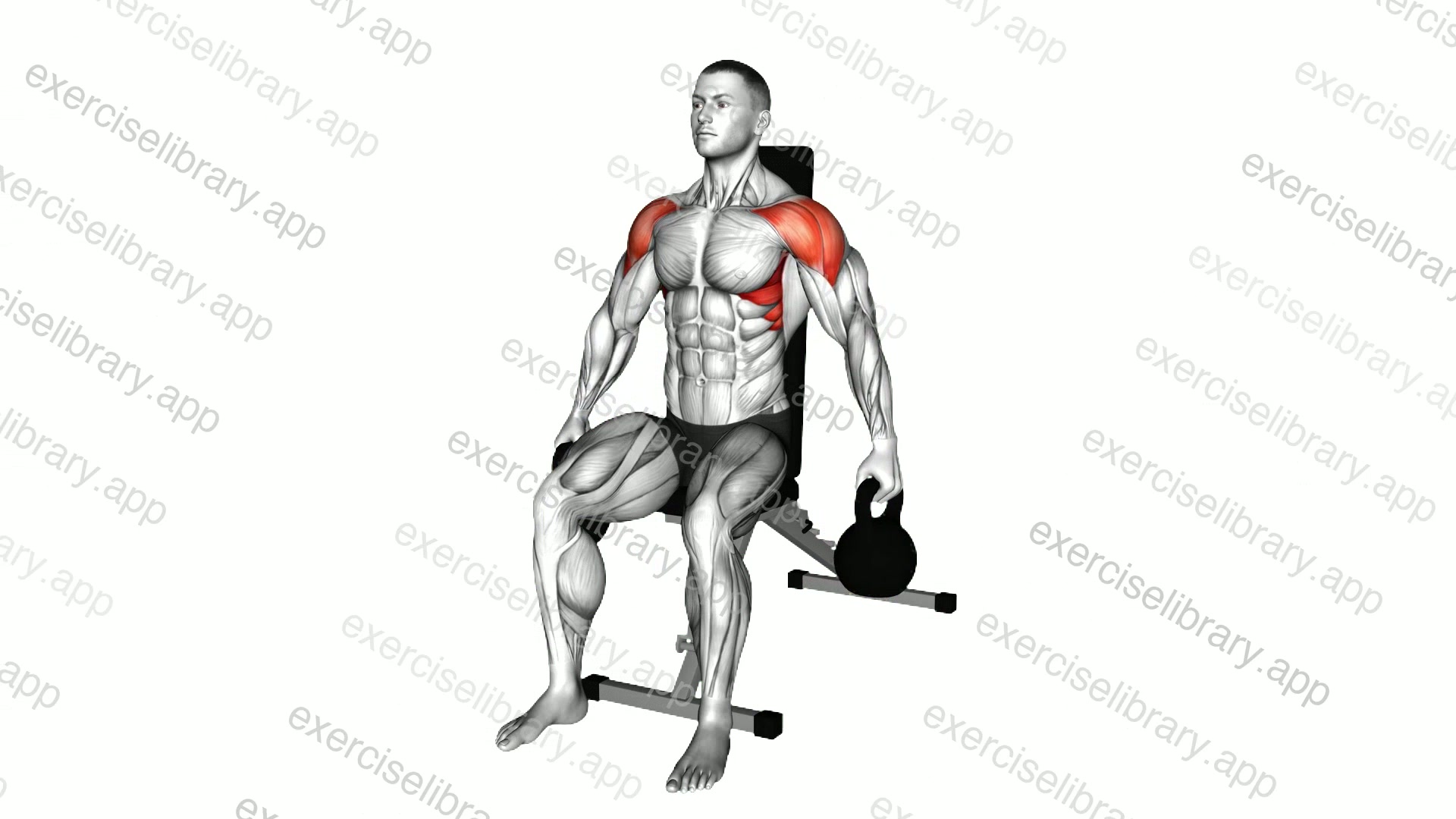 Kettlebell Seated Lateral Raise demonstration