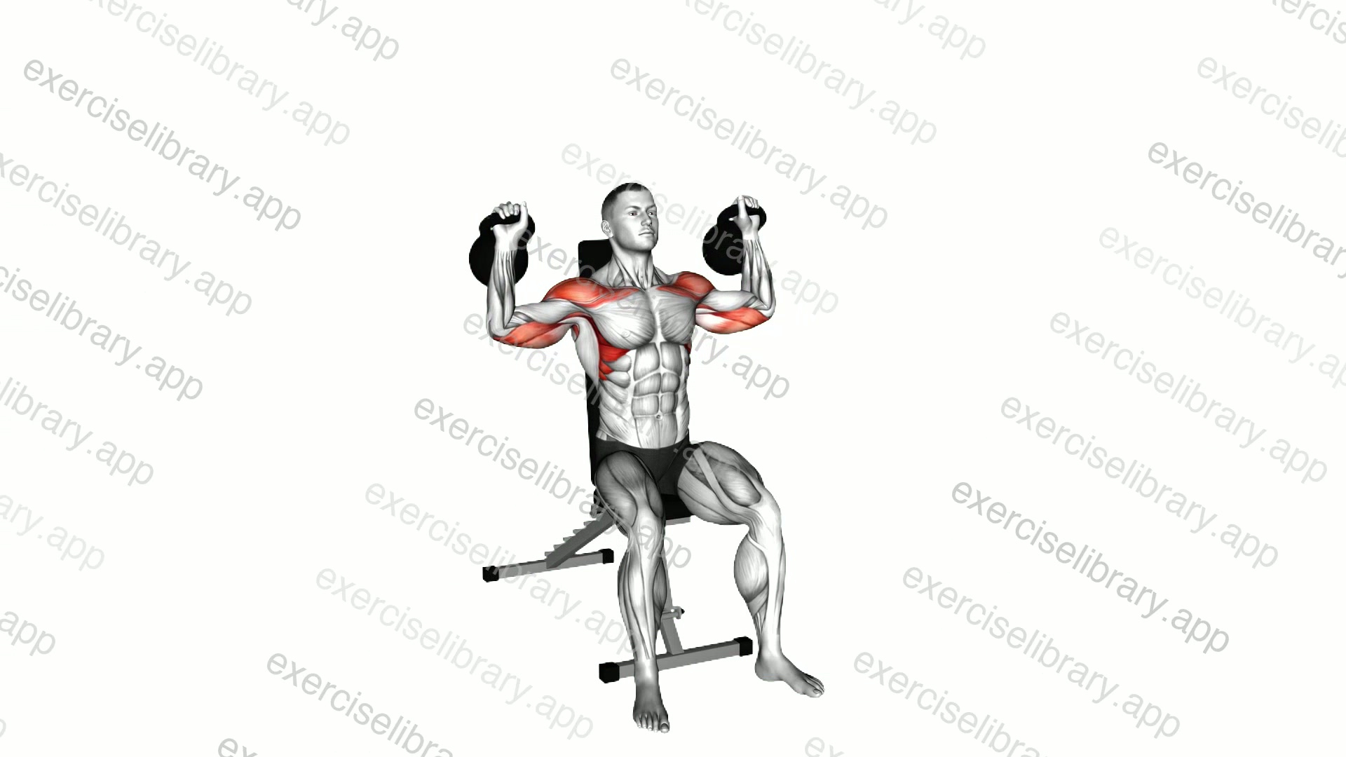 Kettlebell Seated Shoulder Press demonstration