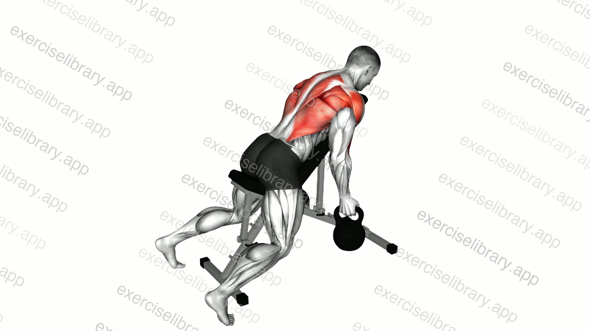 Kettlebell Lying Rear Delt Row demonstration