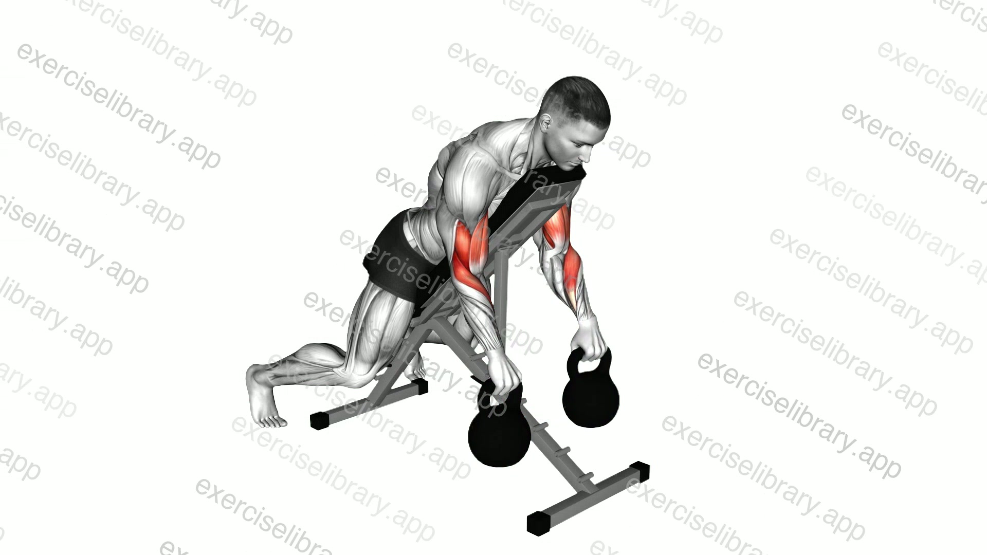 Kettlebell Reverse Spider Curl demonstration