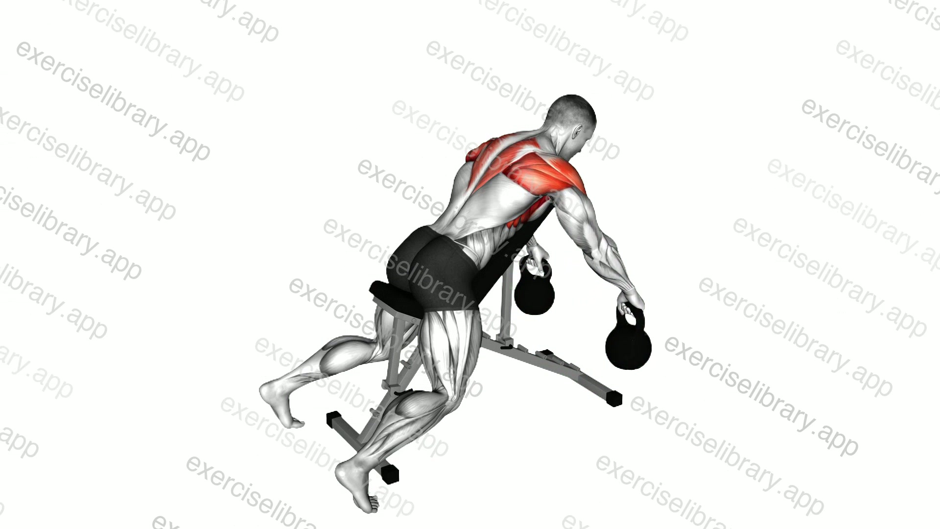 Kettlebell Incline Y Raise demonstration