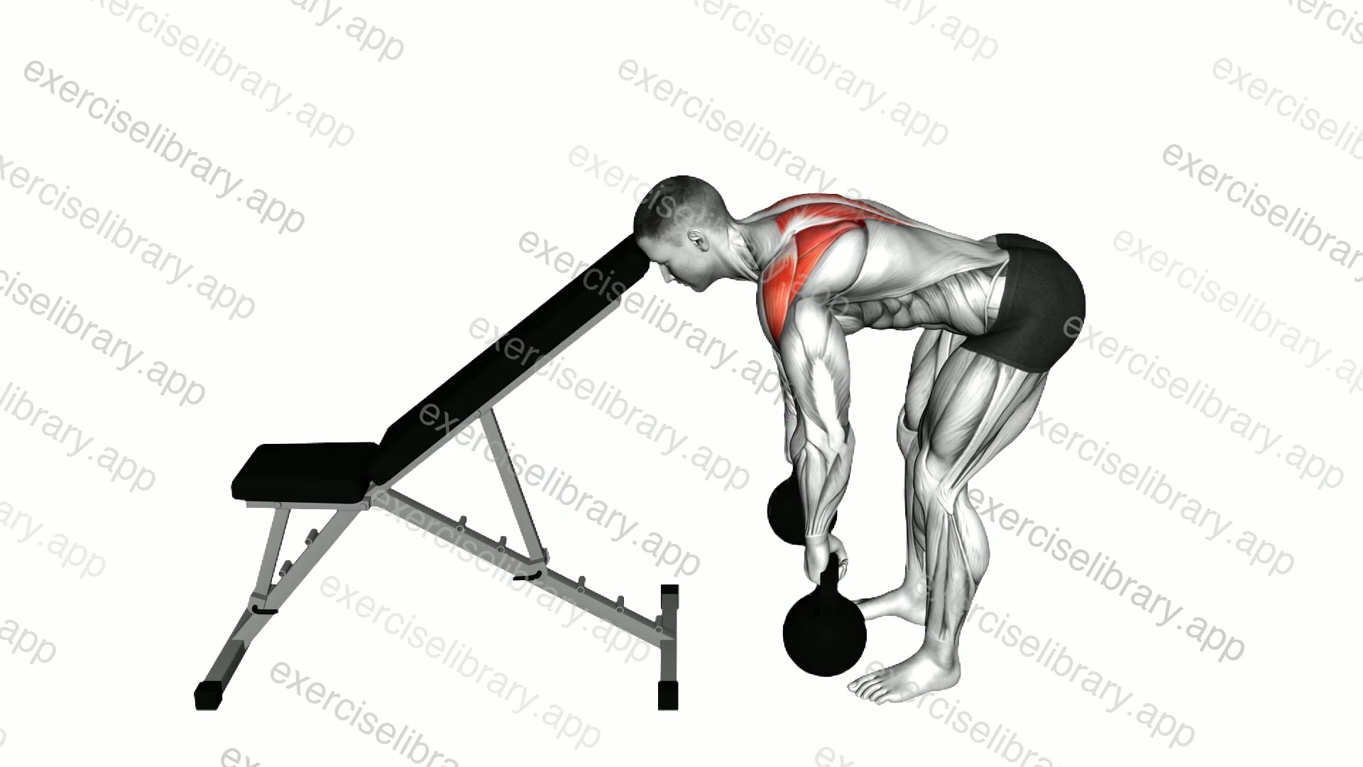 Kettlebell Head Supported Row demonstration