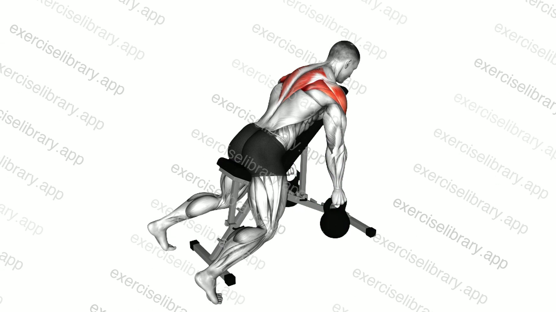 Kettlebell Prone Rear Delt Swing demonstration
