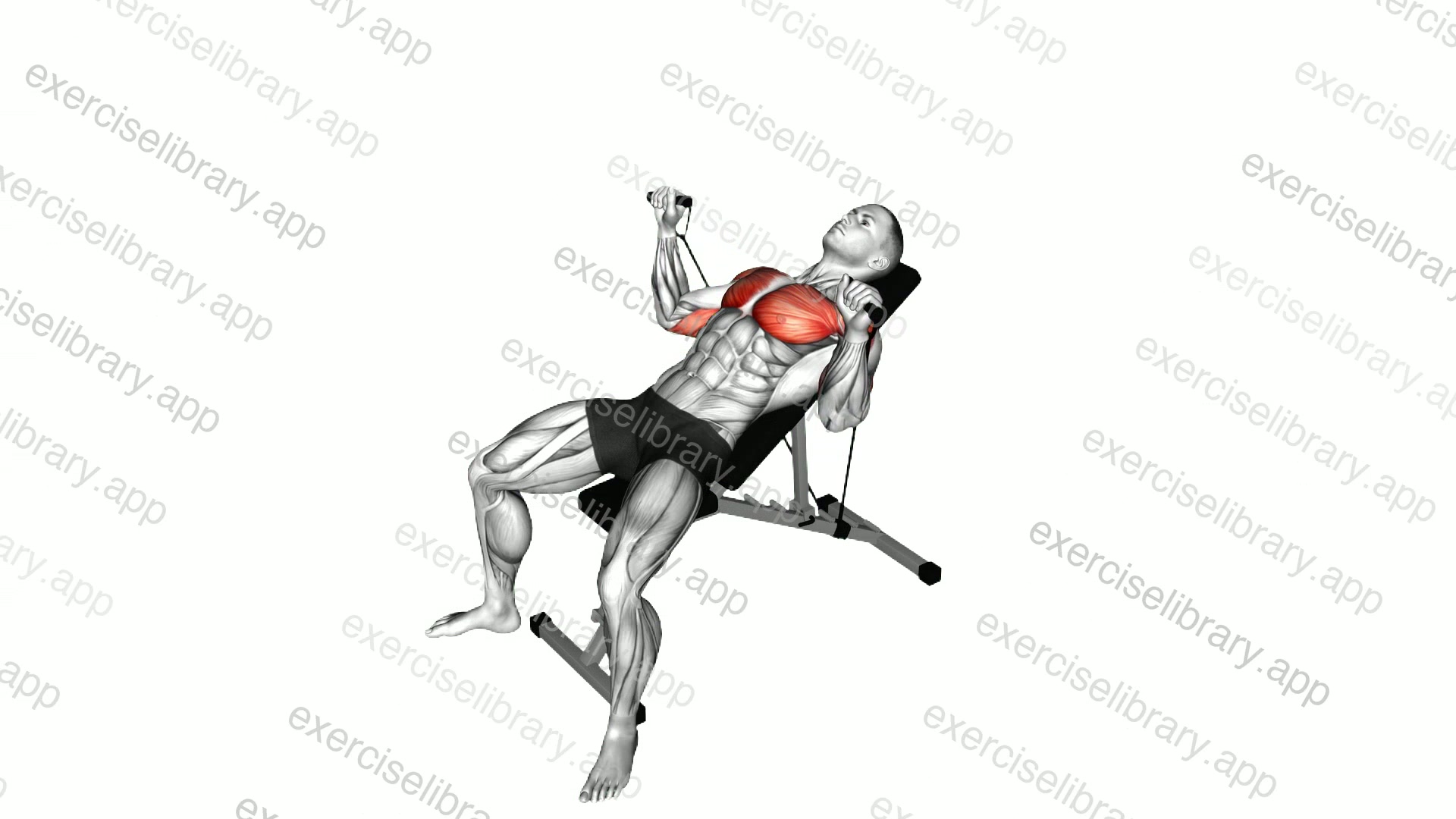 Band Incline Bench Press demonstration