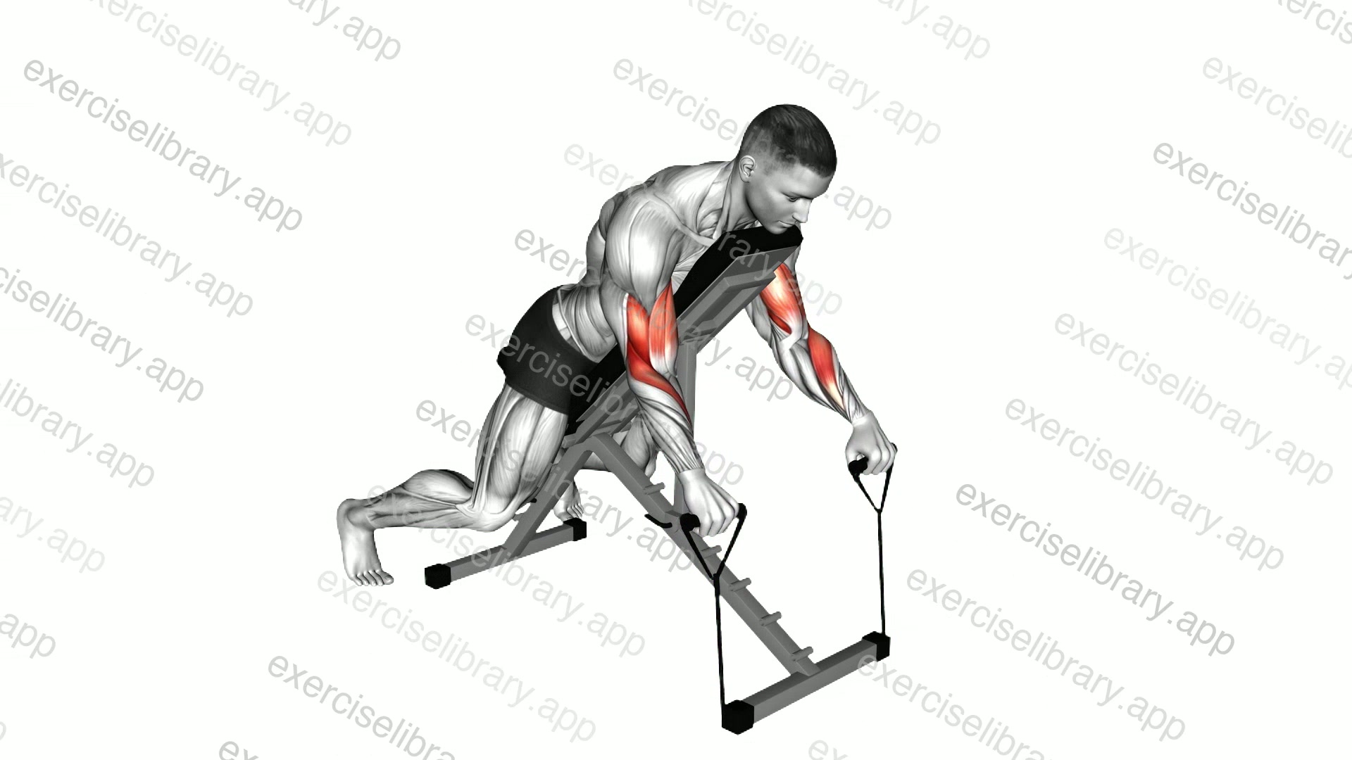 Band Reverse Spider Curl demonstration