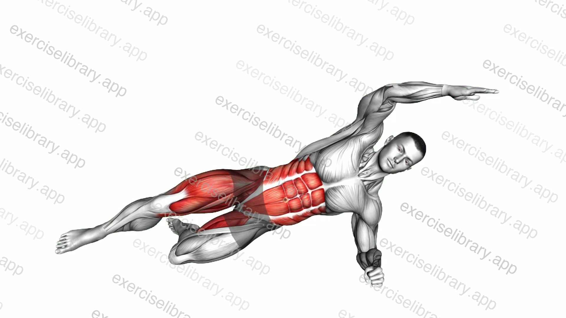 Side Plank Knee Tuck demonstration