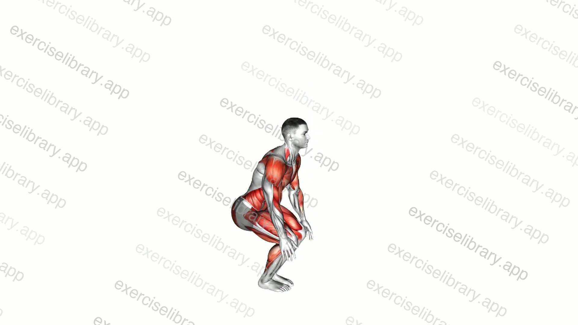 Burpee Tuck Jump demonstration