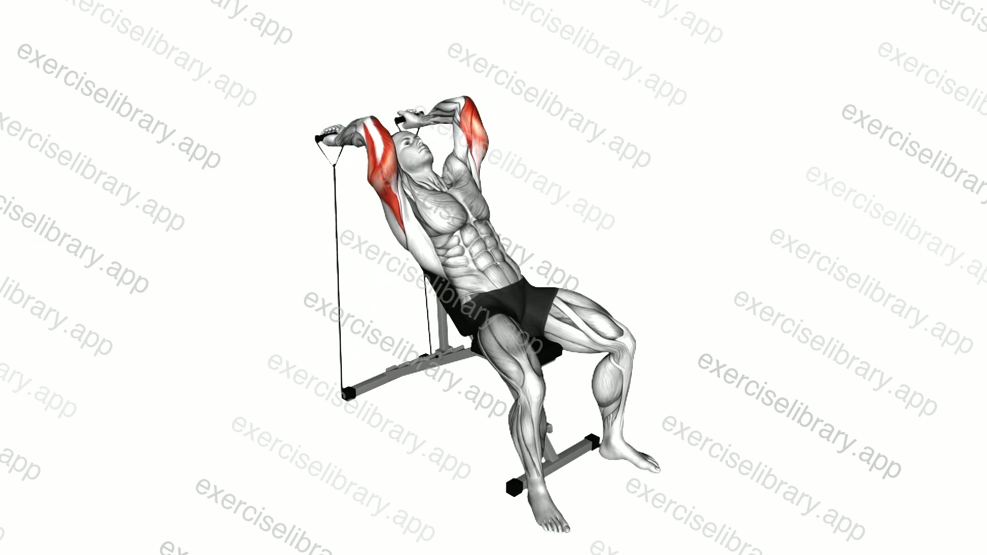 Band Incline Triceps Extension demonstration