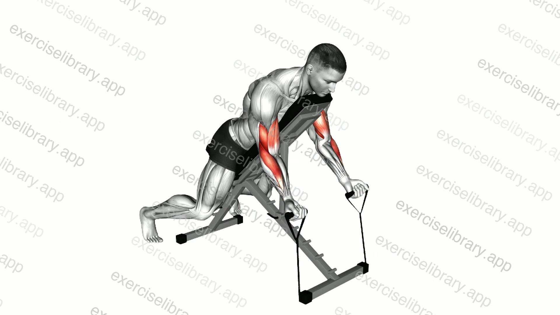 Band Prone Incline Curl demonstration