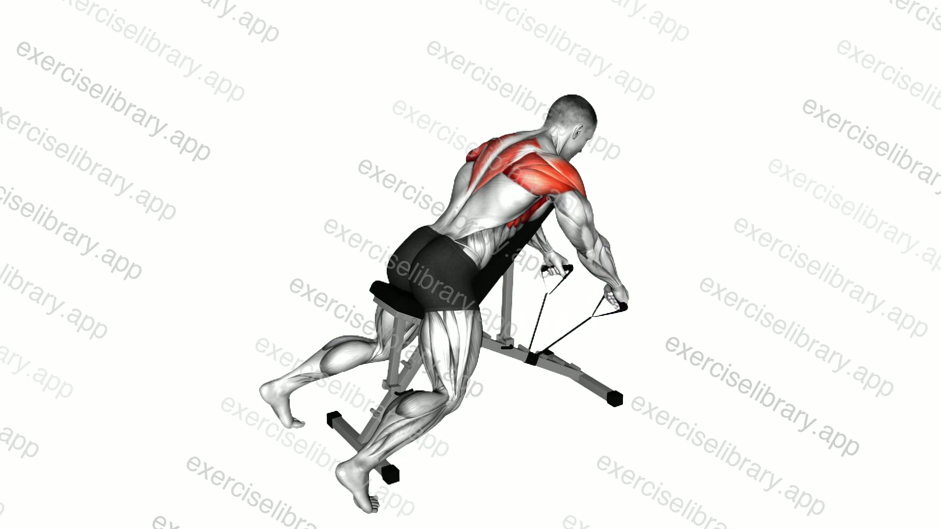 Band Incline Y Raise demonstration