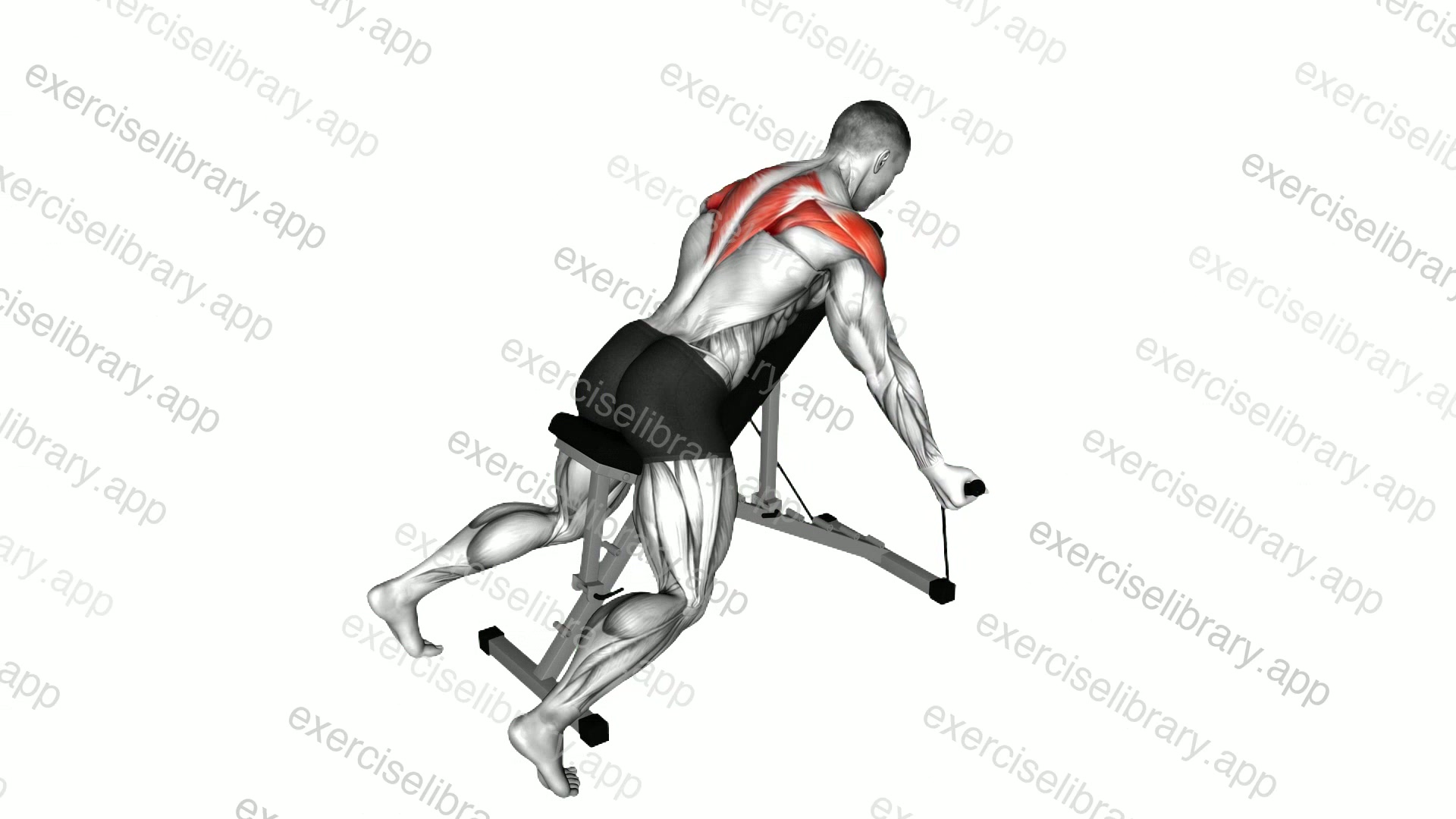 Band Incline T Raise demonstration