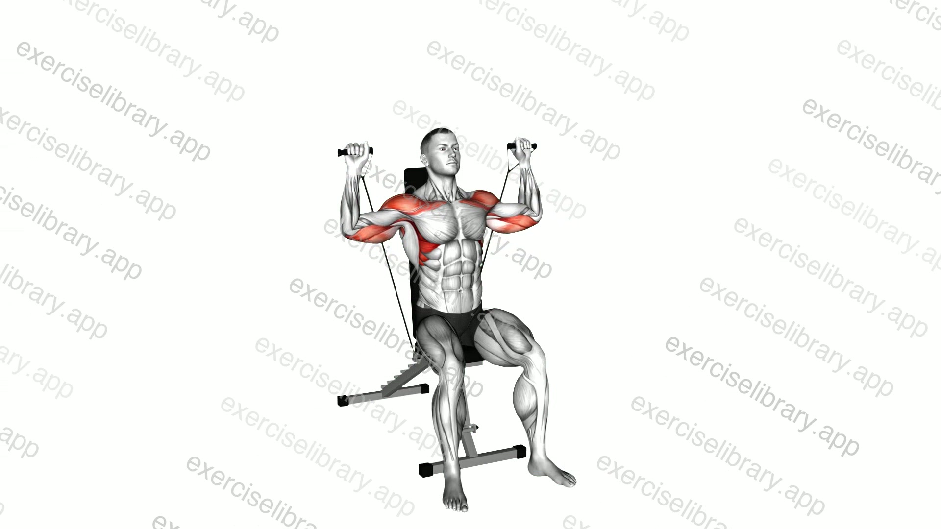 Band Seated Shoulder Press demonstration