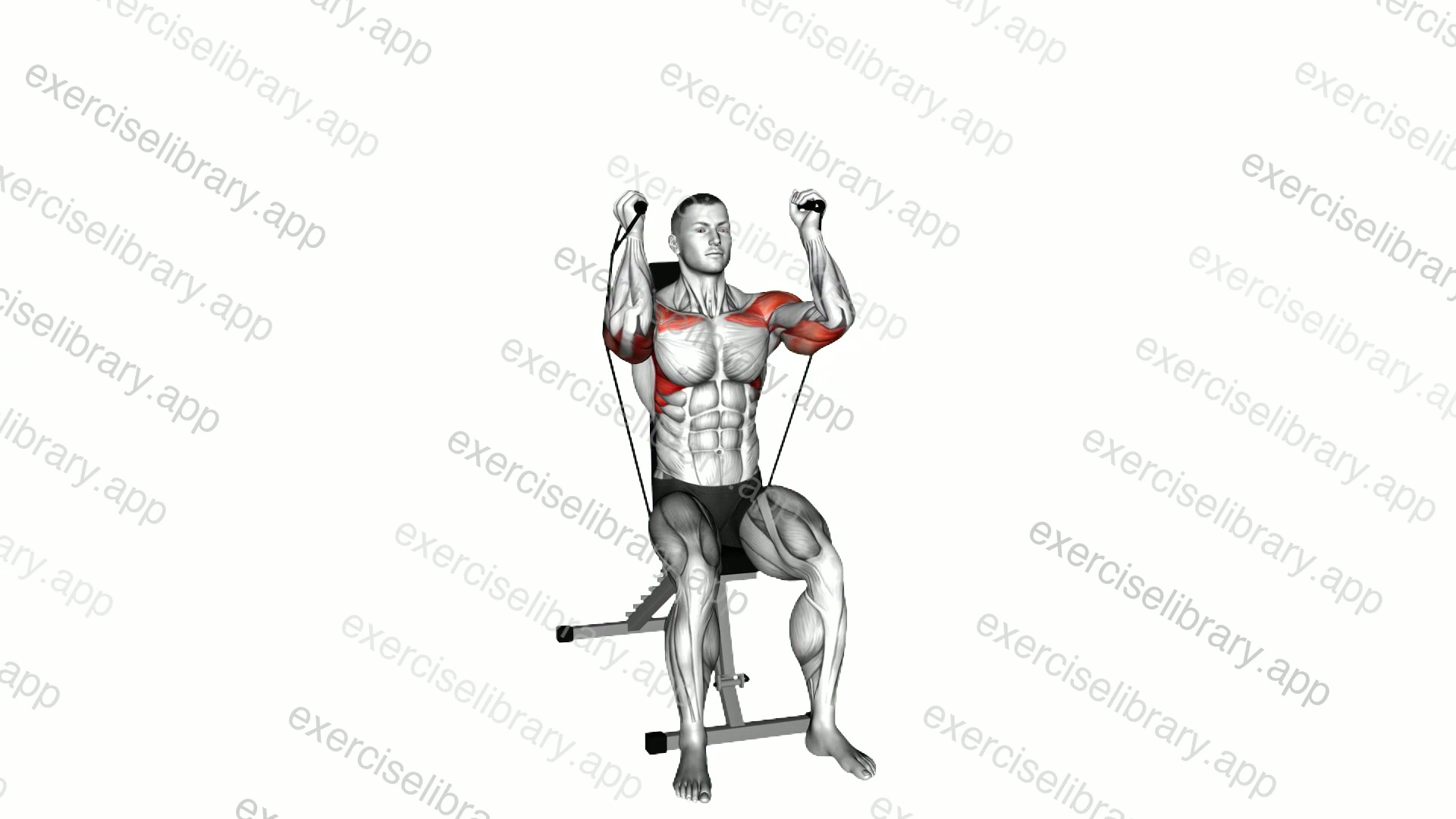 Band Seated Neutral Grip Shoulders Press demonstration