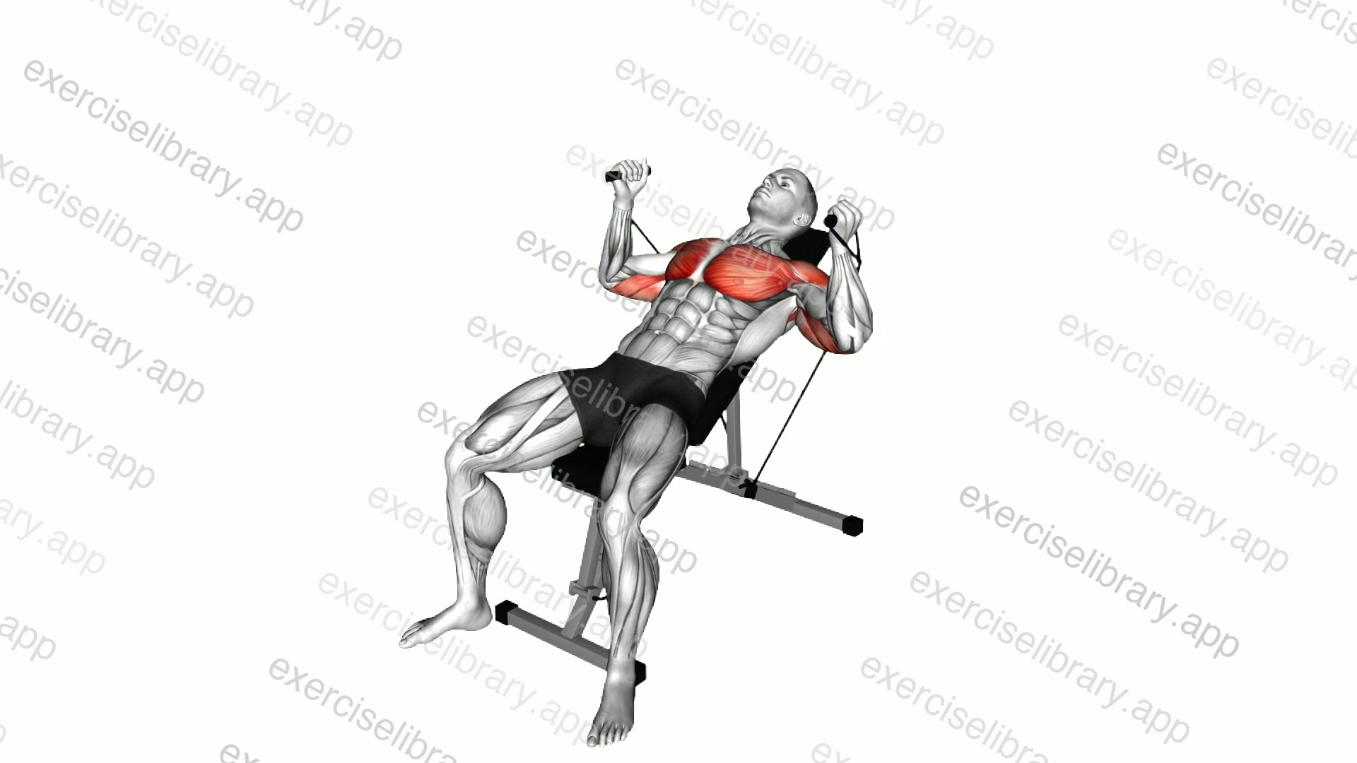 Band Incline Hammer Press demonstration