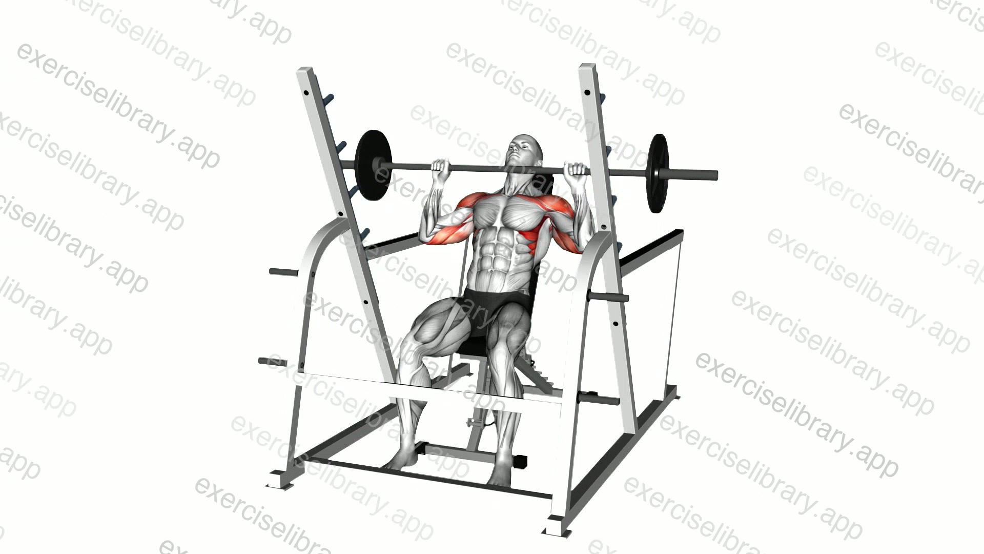 Barbell Incline Shoulders Press demonstration