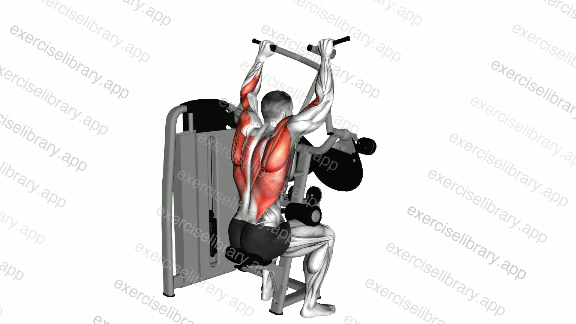Lever Cross Lat Pulldown demonstration