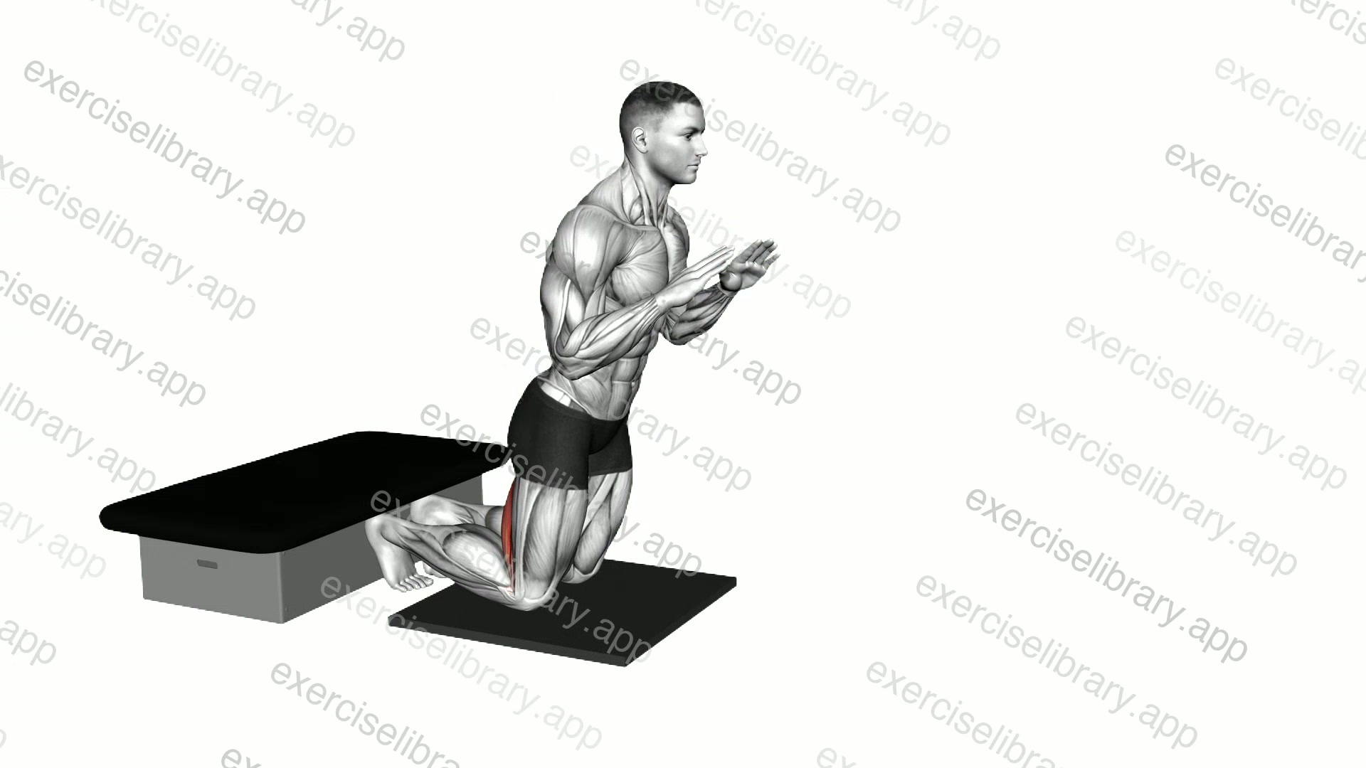 Self Assisted Inverse Leg Curl demonstration
